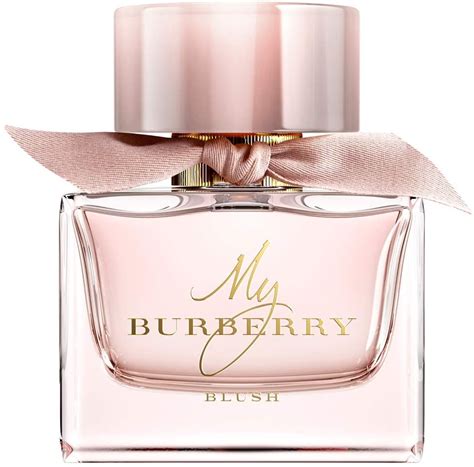 my burberry blush price in uae|burberry blush for women.